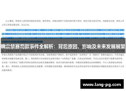 魏震禁赛罚款事件全解析：背后原因、影响及未来发展展望