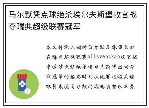 马尔默凭点球绝杀埃尔夫斯堡收官战夺瑞典超级联赛冠军